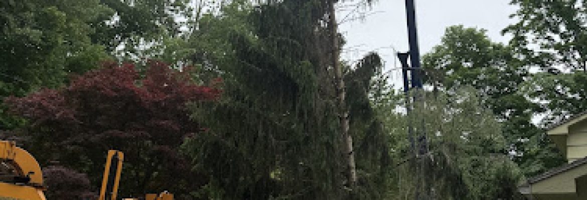 Oak Hill Tree Service LLC