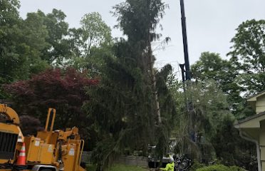 Oak Hill Tree Service LLC