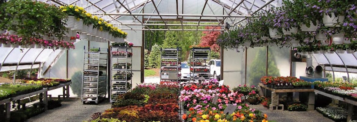 Meadowbrook Gardens