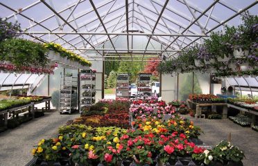 Meadowbrook Gardens