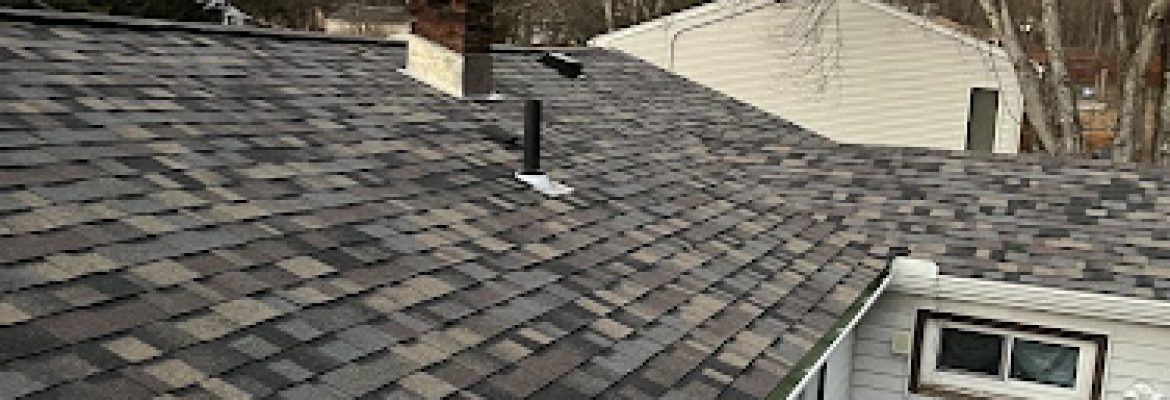 SKY REMODELING LLC