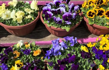 Bidwell’s Yard, Garden & Pet