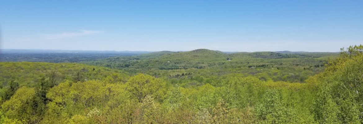 Shenipsit State Forest-Soapstone Mountain