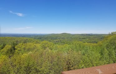 Shenipsit State Forest-Soapstone Mountain
