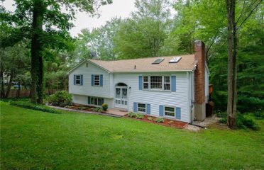Dana Flanagan, Realtor