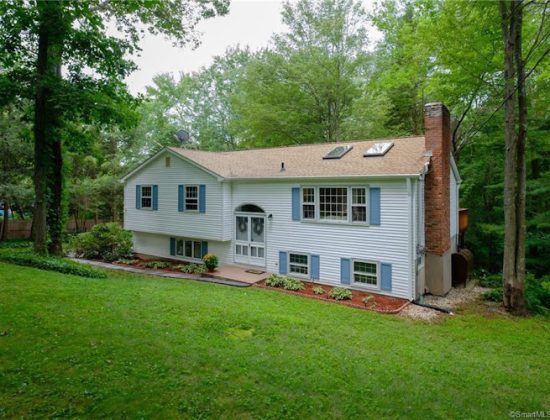 Dana Flanagan, Realtor