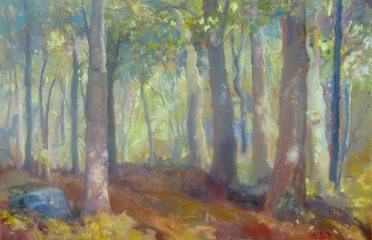 Catherine M Elliott