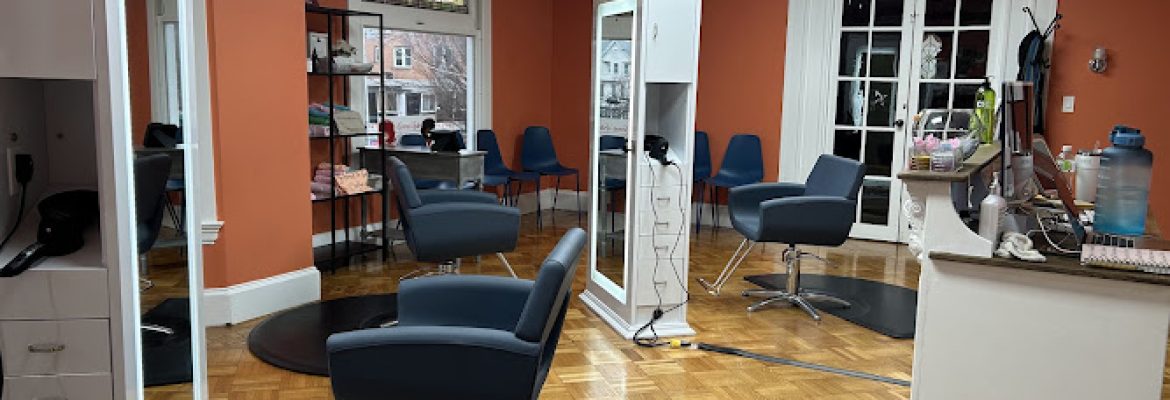 The Curly Hair Salon