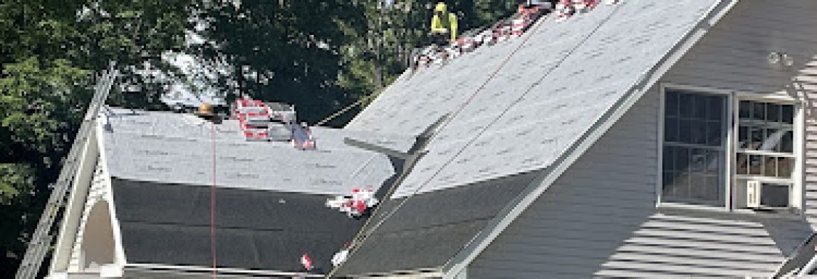 Aardvark Roofing