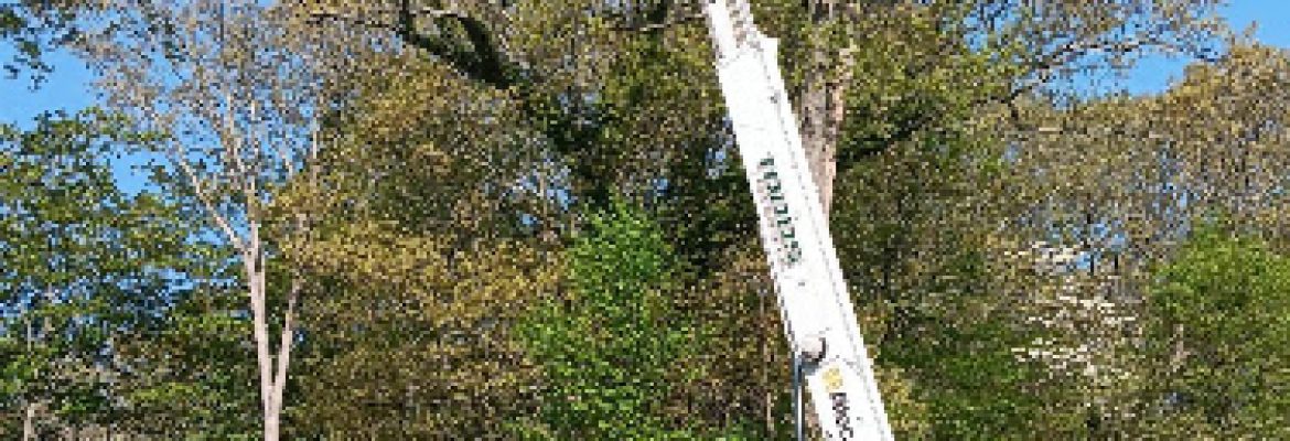 Todd’s Tree Service LLC