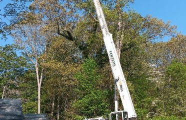 Todd’s Tree Service LLC