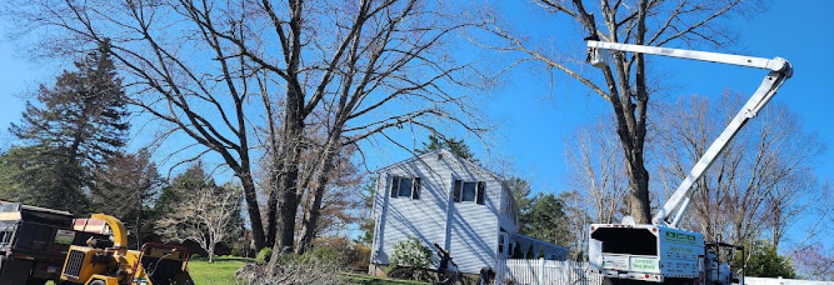J&D General Construction llc