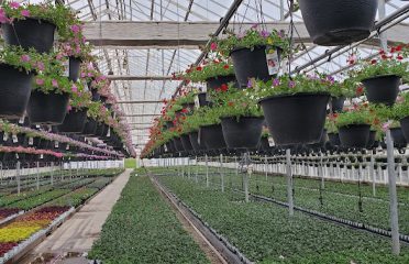 Cromwell Growers