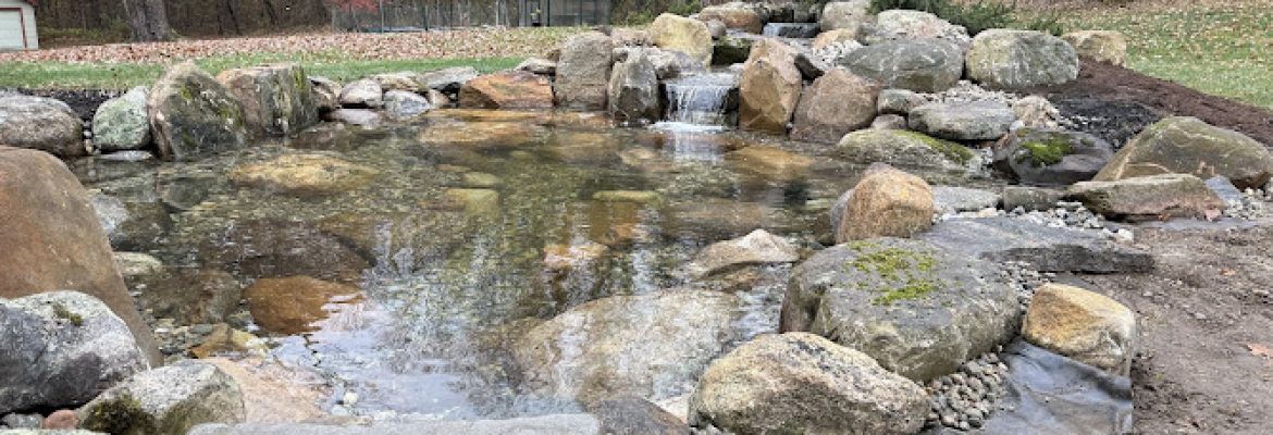 Action Water Gardens Inc.