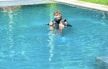 Signature Pools Inc