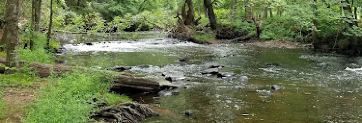 Scantic River State Park – West