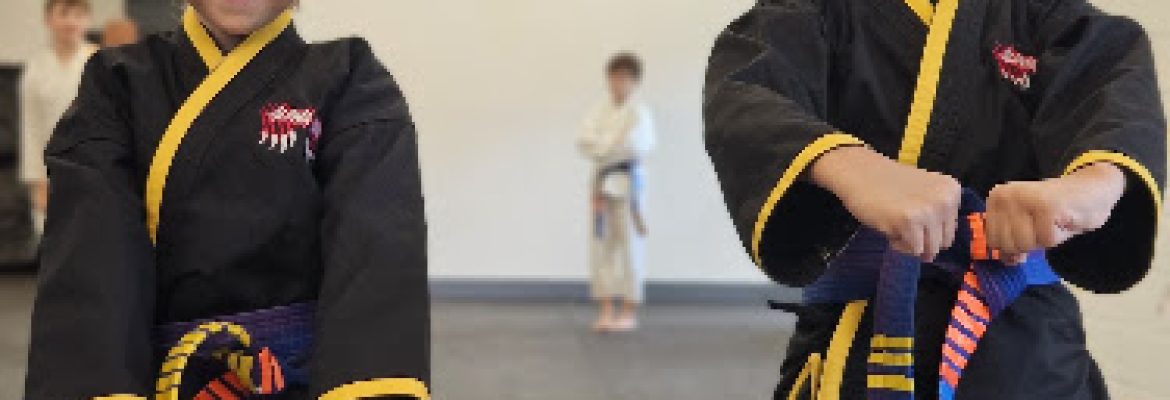 RISE Martial Arts Academy LLC