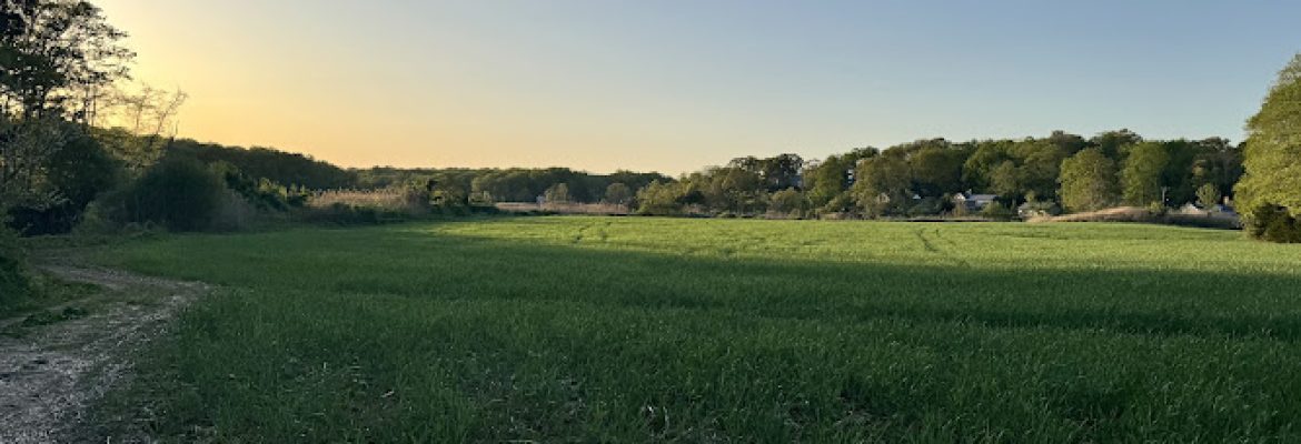 Jarvis Creek Farm Trail