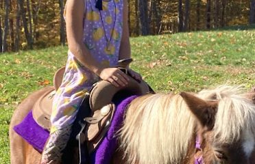 Hillside Stable LLC