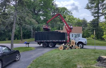 Sotil Tree Service