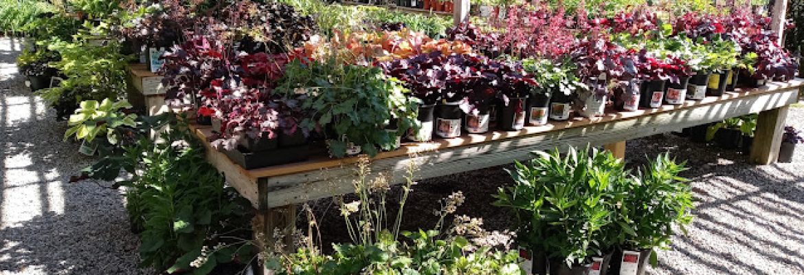 Oliver Nurseries