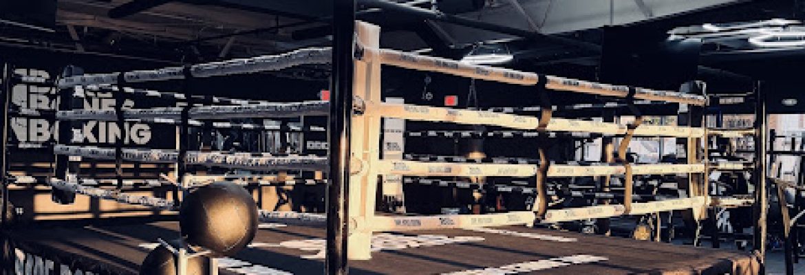 Bare Bones Boxing