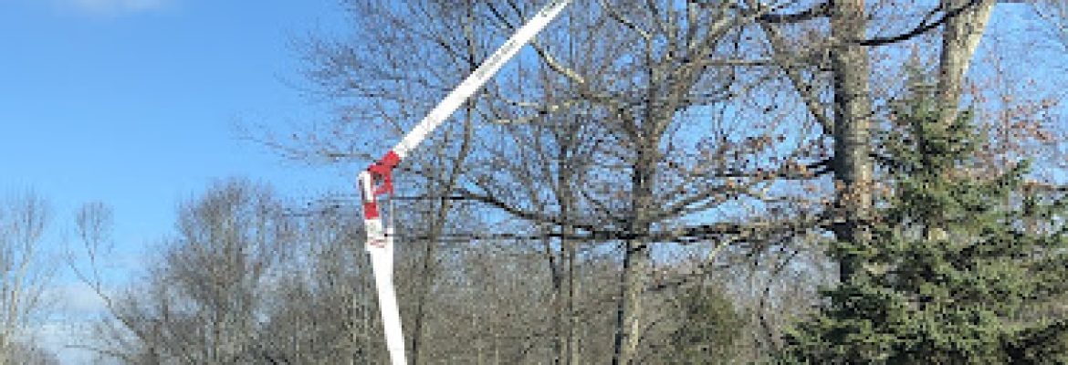 Chris T. Tree Services