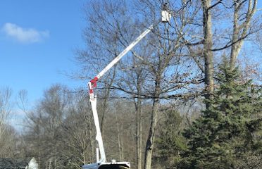 Chris T. Tree Services