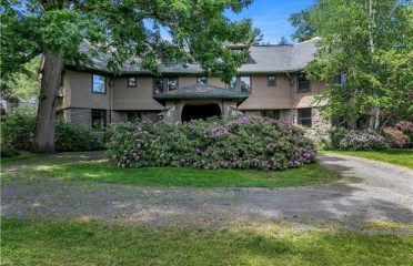 Jenn D’Amato Homes at REAL Brokerage