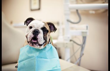 Nathan Berry, DMD | Dentist in West Hartford, CT – West Hartford Dental Associates