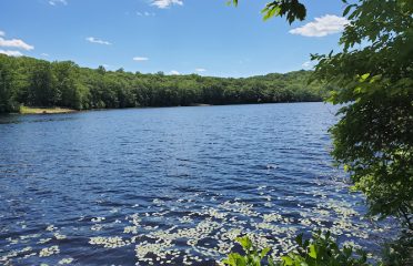 Cockaponset State Forest