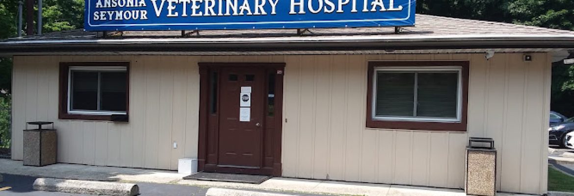 Ansonia Seymour Veterinary Hospital