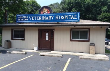Ansonia Seymour Veterinary Hospital
