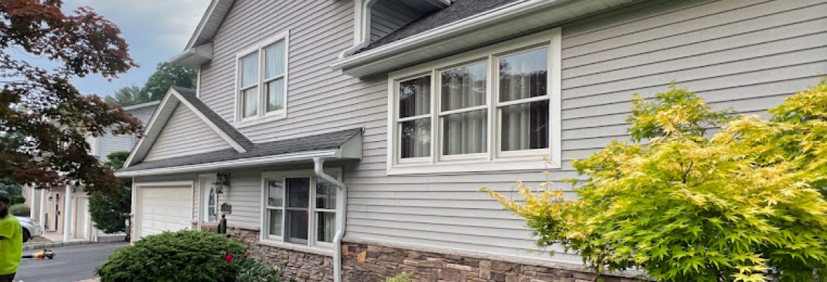 Leafguard Gutter Protection