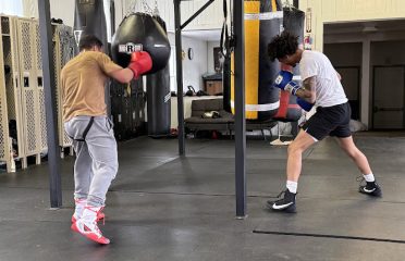 Rose City Boxing