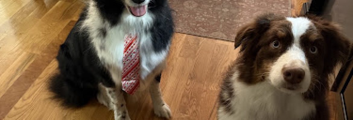 Mack & Molly’s Pet Parlor LLC