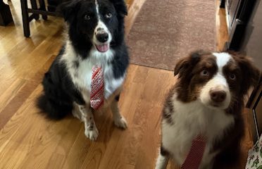 Mack & Molly’s Pet Parlor LLC