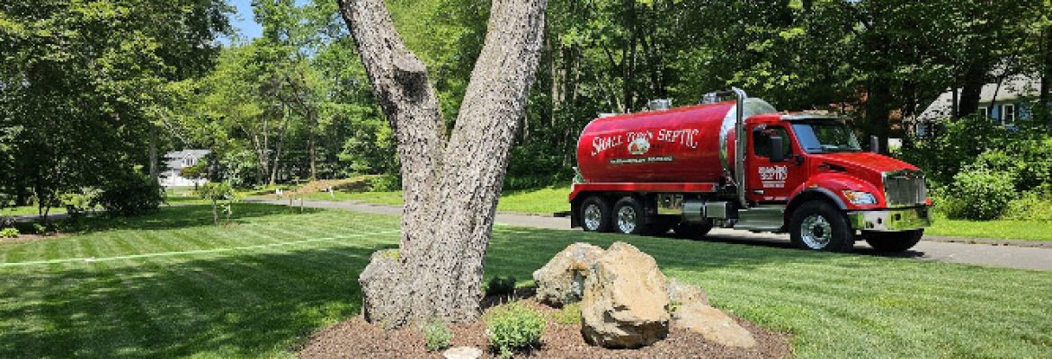 Small Town Septic