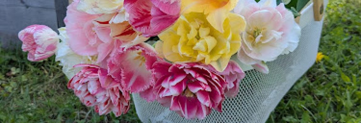 Blooms of Lost Acres