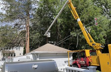 Miguel’s Tree & Landscaping