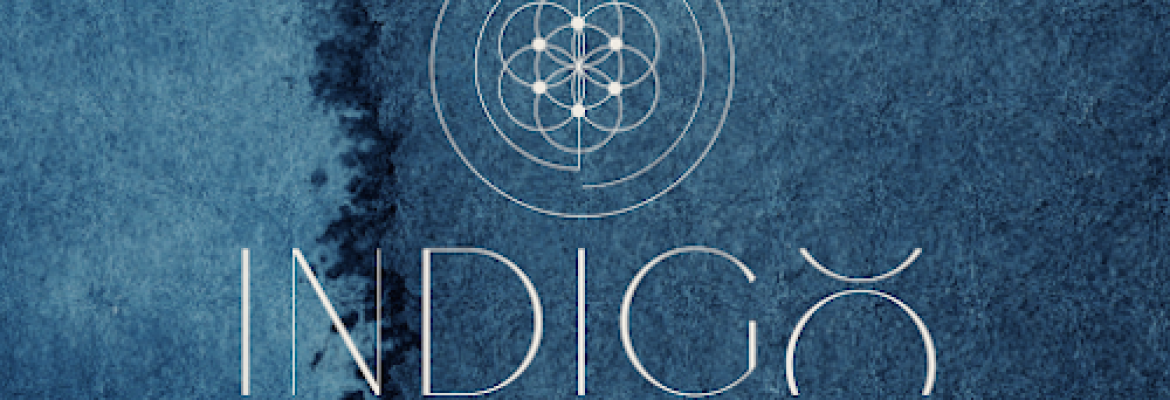 Indigo Wellness Group