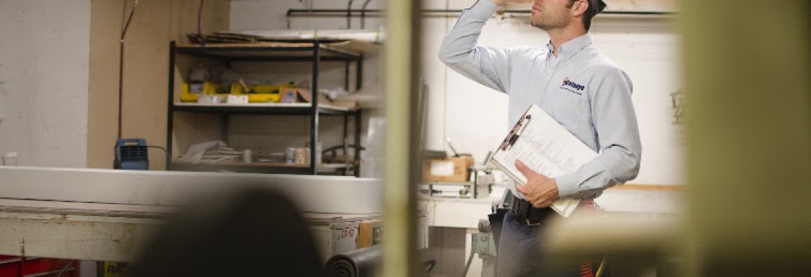 Catseye Pest Control – Norwalk, CT