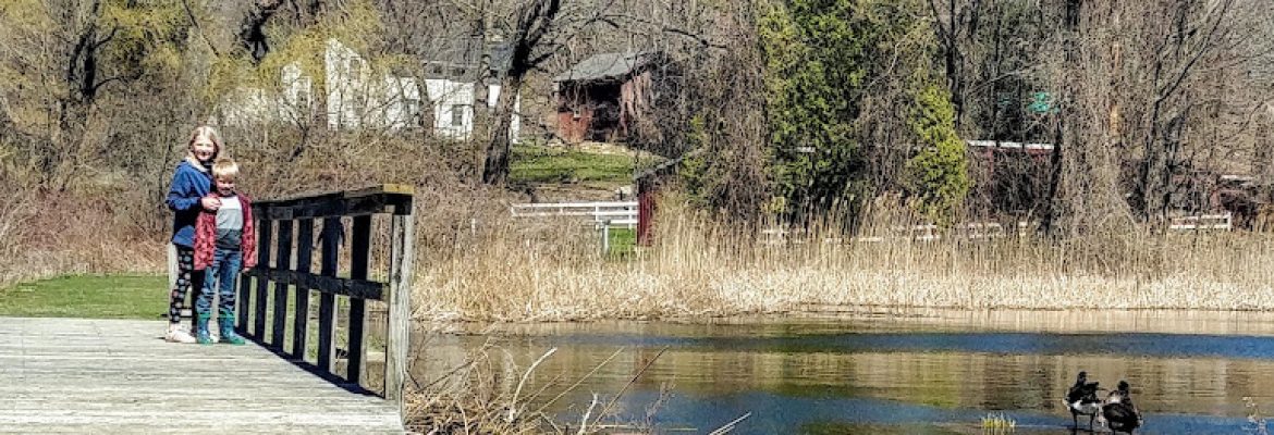 Sharon Audubon Center