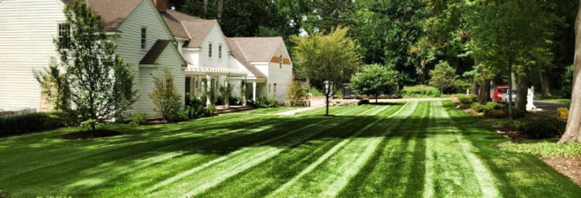 ATKO BROS Landscaping LLC.