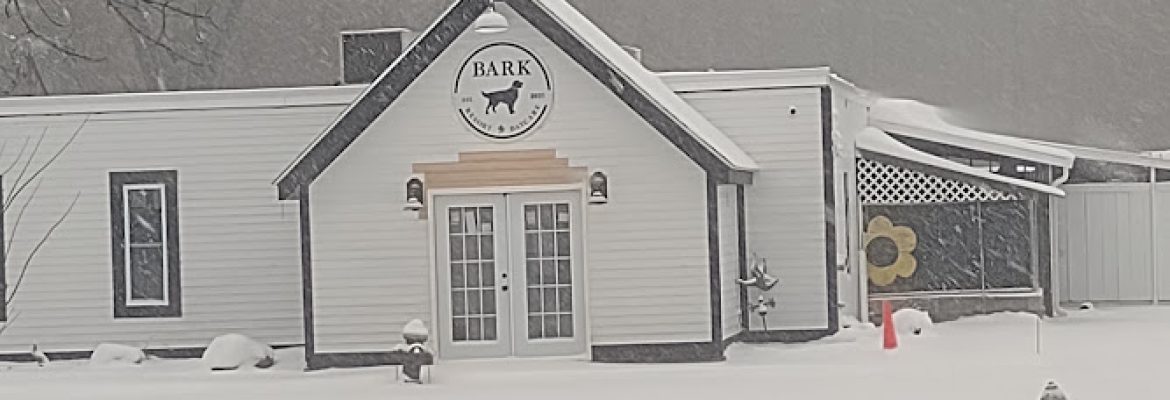 Bark Resort & Daycare