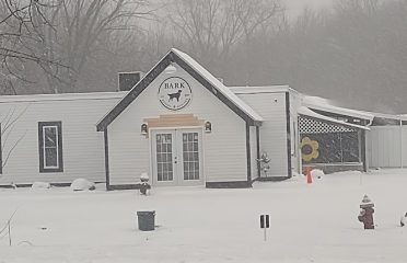 Bark Resort & Daycare