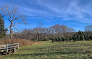 Cedar Spring Farm