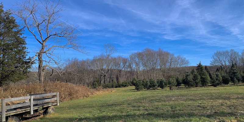 Cedar Spring Farm