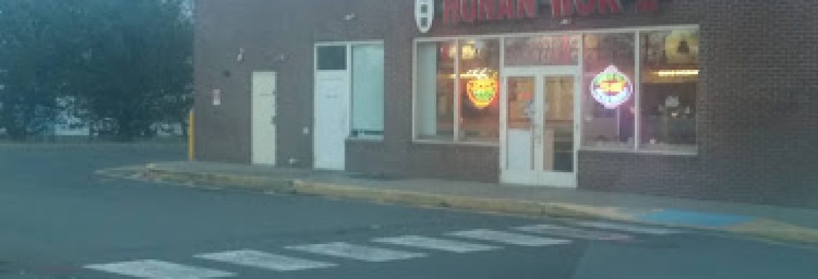 Hunan Wok III