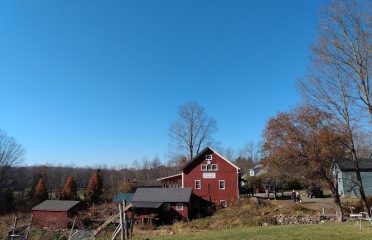 Walker Road Vineyards LLC